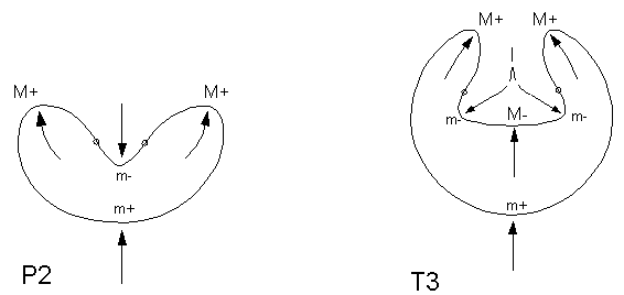 Figure 13 for Michael Leyton