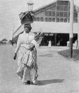 NEGRO WOMAN RETURNING FROM MARKET.