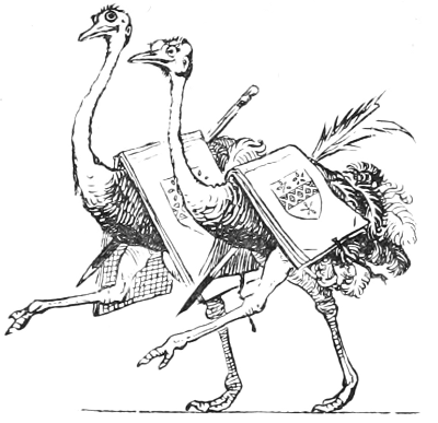 A pair of ostriches.