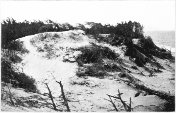 Sand-dunes, Cape May, New Jersey.