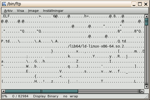 Binary mode with ASCII encoding