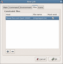 Job parameters detail (constraint files)