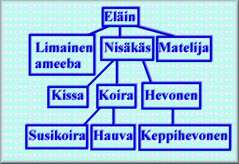 El&auml;inten perim&auml;hierarkia