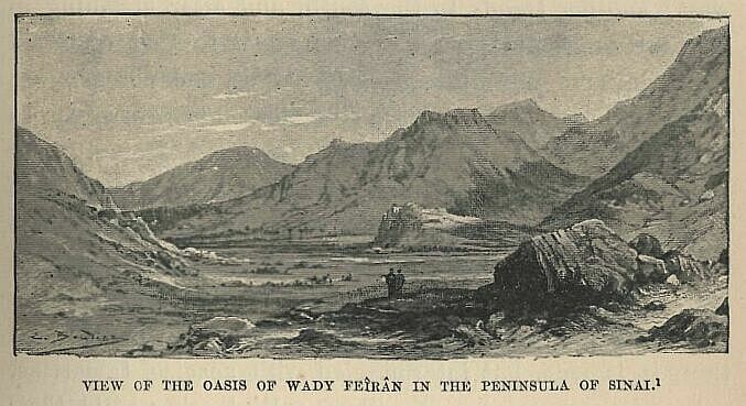 159.jpg View of the Oasis Of Wady Fekn in The Peninsula Of Sinai 