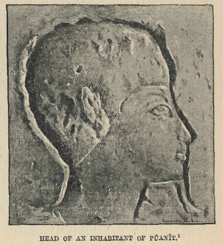 225.jpg Head of an Inhabitant Of Pant 