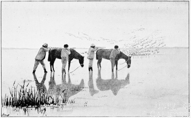 Plate XLVI.

WILDFOWLING WITH CABRESTOS. No. 2.—THE SHOT.

Page 374.